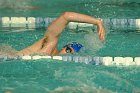 Swimming vs Bentley  Wheaton College Swimming & Diving vs Bentley College. - Photo by Keith Nordstrom : Wheaton, Swimming & Diving